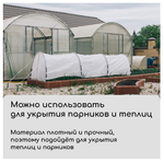 Материал укрывной, 10 × 3.2 м, плотность 60, с УФ-стабилизатором, белый, Greengo, Эконом 20 %