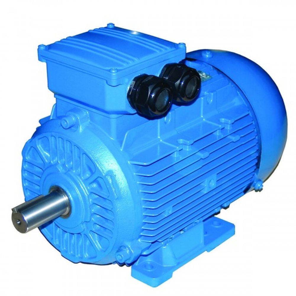 Асинхронный электродвигатель 5АМХ132S8(4*750) Мощностью 4 кВт 750об/мин