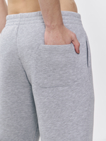 Брюки мусжкие с начесом "jogger fleece" (серый меланж)