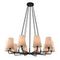Подвесная люстра Favourite Pfefferling 2364-10P
