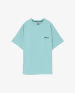 Футболка Anteater Phat 499 бирюзовая