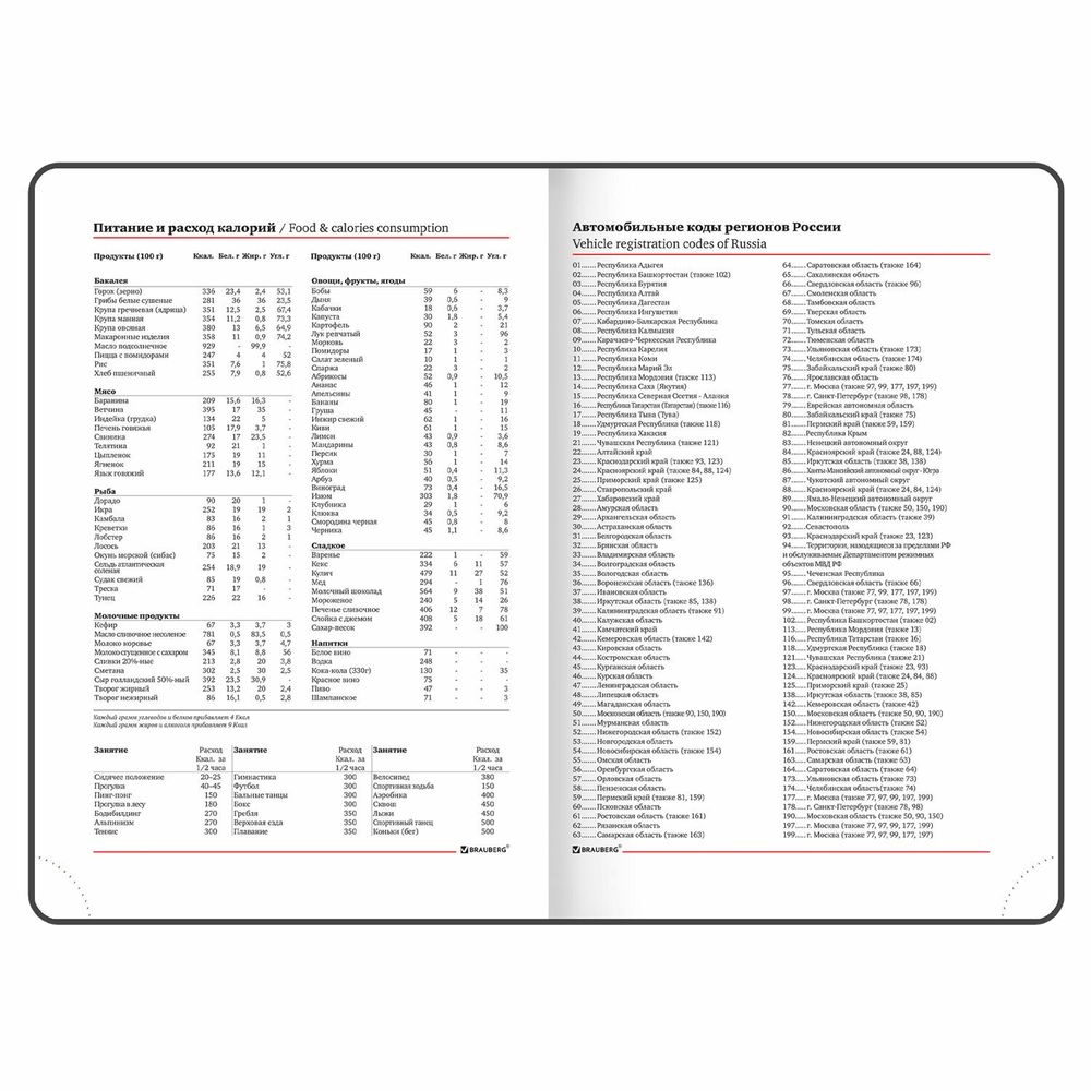 Ежедневник недатированный А5 BRAUBERG "Magnetic X" (113278) 10