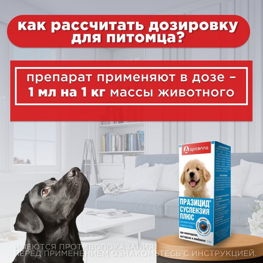 Суспензия для щенков средних и крупных пород собак от гельминтов и лямблий Празицид Плюс APICENNA, 9мл. Фебантел/Пирантел/ Празиквантел