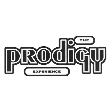Prodigy, The Experience