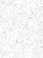 Декор-21 (светло-серая)