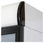 Шкаф холодильный Бирюса B310P