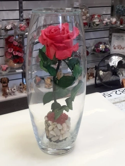 натуральная роза в стекле, вакуум*
