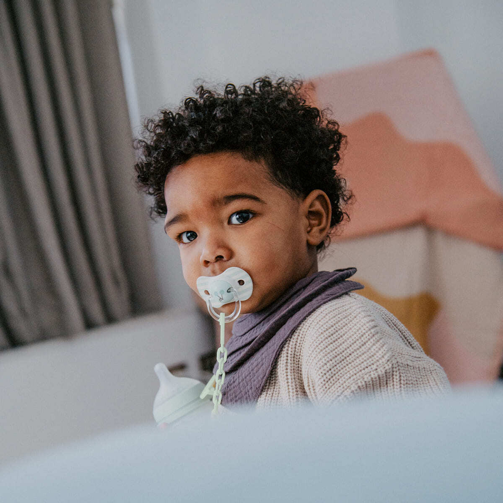 Набор физиологических пустышек Suavinex Birdies зеленый, 18+ мес, 2 шт