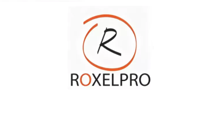 RoxelPro