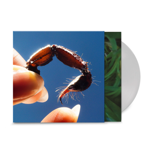 Squid - Cowards - Clear LP