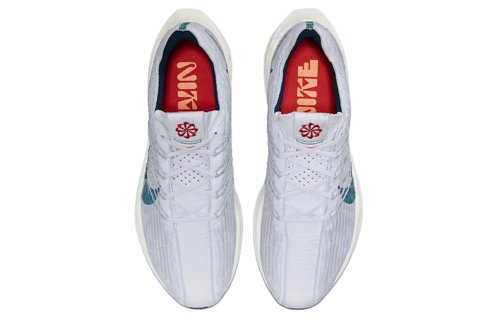 Кроссовки Nike Pegasus Turbo Next Nature