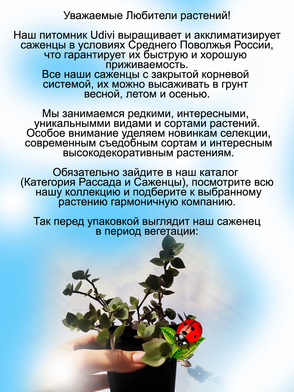 Коллизия ползучая