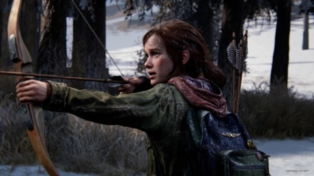 The last of us 1 (remake)