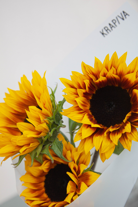 Монобукет Подсолнухи