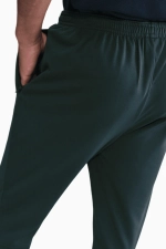 Штаны Nike Academy Therma-FIT Winter Warrior - зеленый