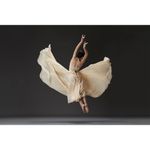 Вспышка аккумуляторная Godox Witstro AD600ProII