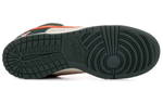 Кроссовки Nike Dunk Sb Eire