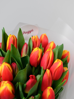 Тюльпаны микс