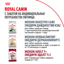 Royal Canin Medium Adult Корм сухой для взрослых собак средних размеров от 12 месяцев до 7 лет - 3 кг