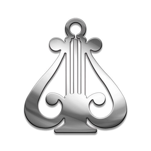 Амулет Серия Символы Суперхит №14 Муза медицинская сталь