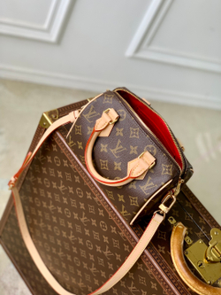 Louis Vuitton Speedy 20
