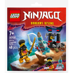 Конструктор LEGO Ninjago 30700 Битва Арина с Драконом арт. 30700 48 дет — фото 2