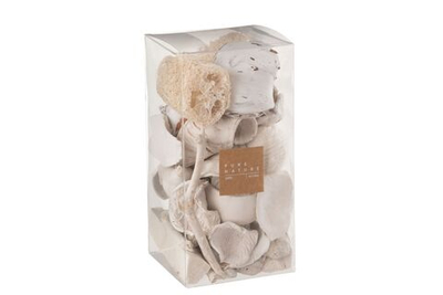 Набор сухоцветов 10x10x20см