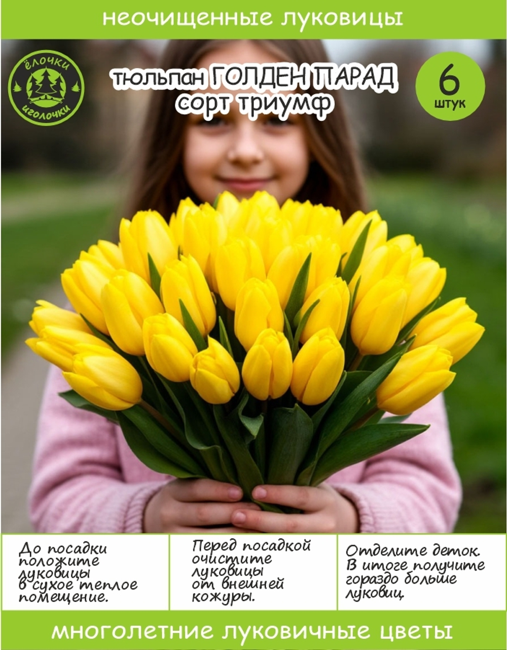 Тюльпан Луковица, Голден Парад, 6+шт