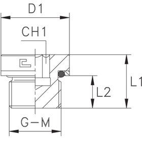 Заглушка V (Ш) 48х2 o-ring