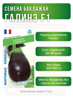 Семена баклажан Галинэ F1, 7 семян (Vita Green / Вита Грин)