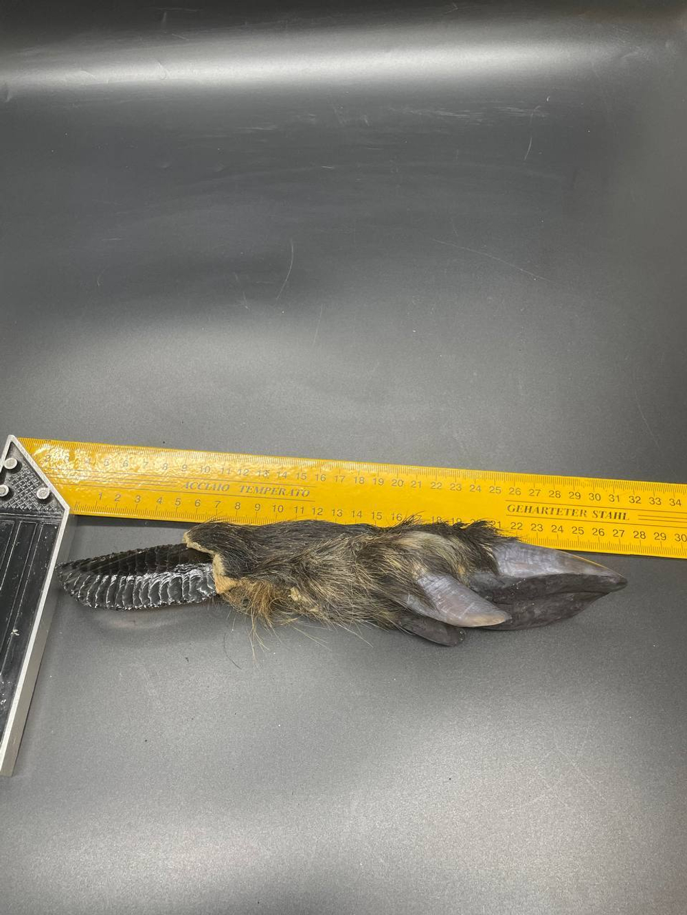 Обсидиановый нож с рукоятью копыта вепря 27 см