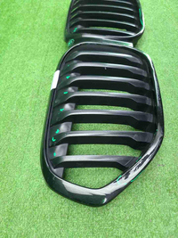 Решетка радиатора BMW X1 F48 (2019-2022)