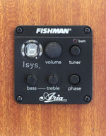 ARIA ARIA-101CE Matte Black