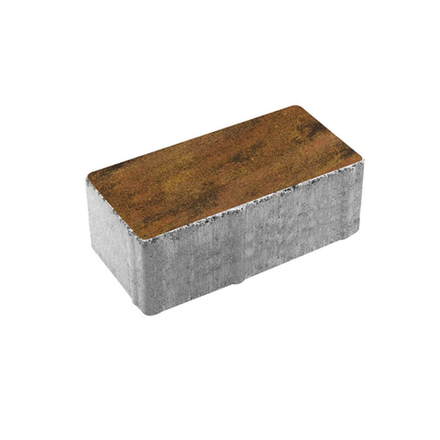 Тротуарная плитка ПРЯМОУГОЛЬНИК 200x100 мм - Листопад гладкий Саванна