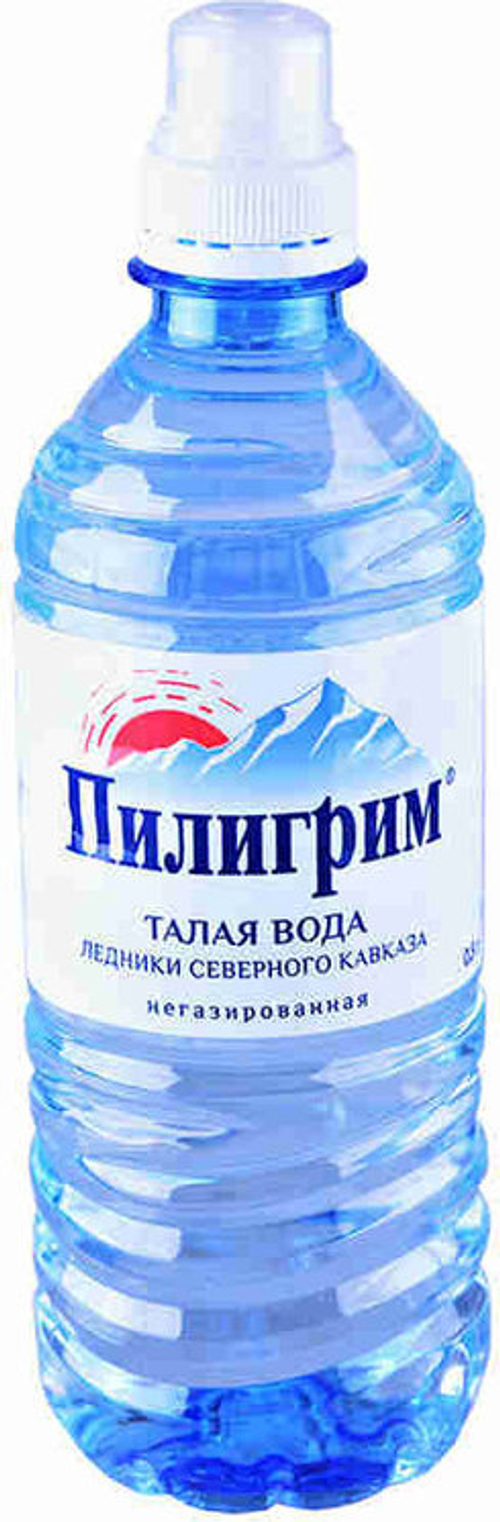 Пилигрим 0,5л СПОРТ
