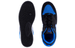 Кроссовки Nike Sb Alleyoop Royal