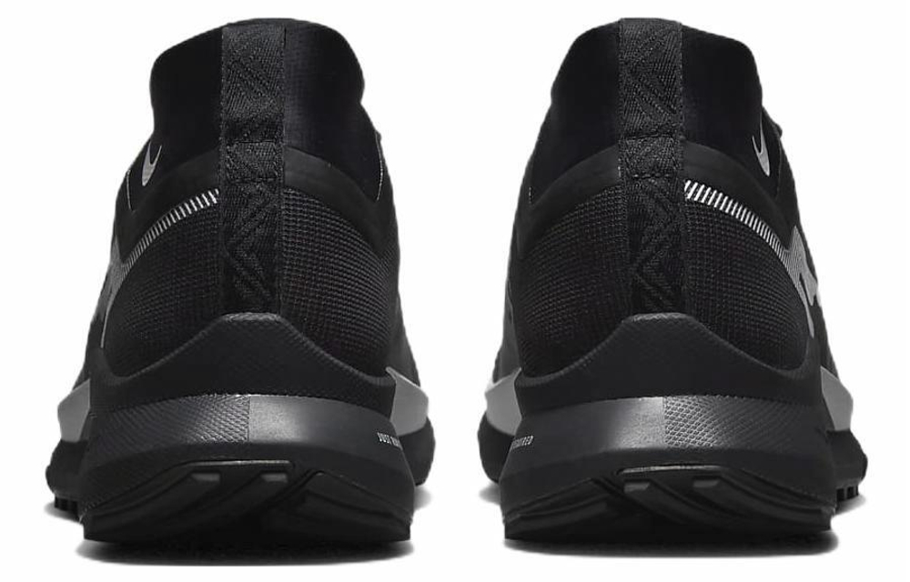 Кроссовки Nike Pegasus Trail 4 Gore-Tex