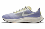Кроссовки Nike Pegasus 37 (Женская размерная сетка)