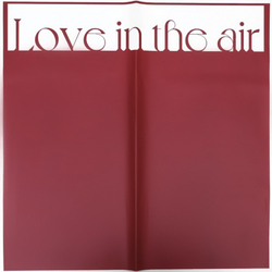 ЛИСТ "Любовь в воздухе" 58*58/10шт