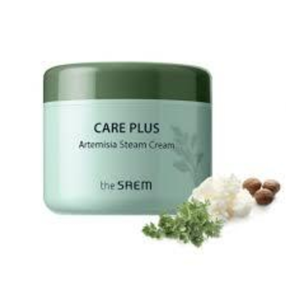 Крем увлажняющий для лица Care Plus Artemisia Steam Cream