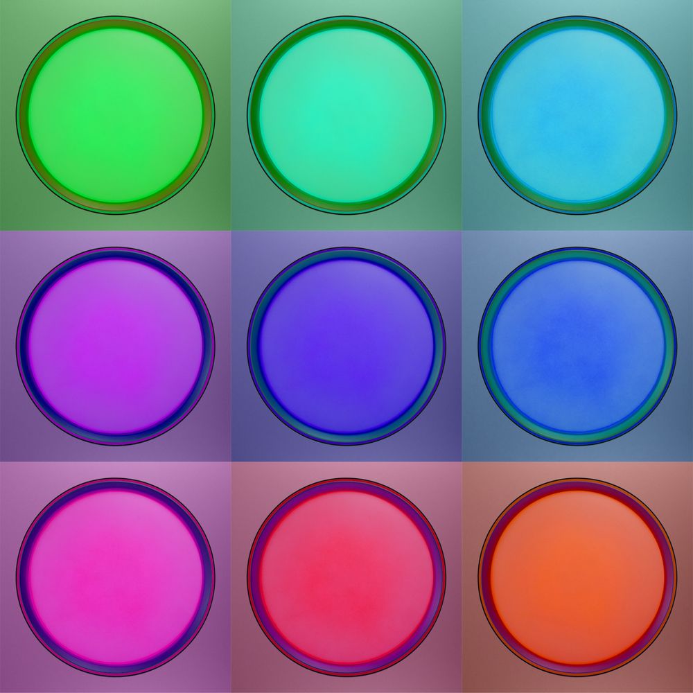 Citilux BOSS CL751351G LED RGB Светильник с пультом Чёрный с Золотом