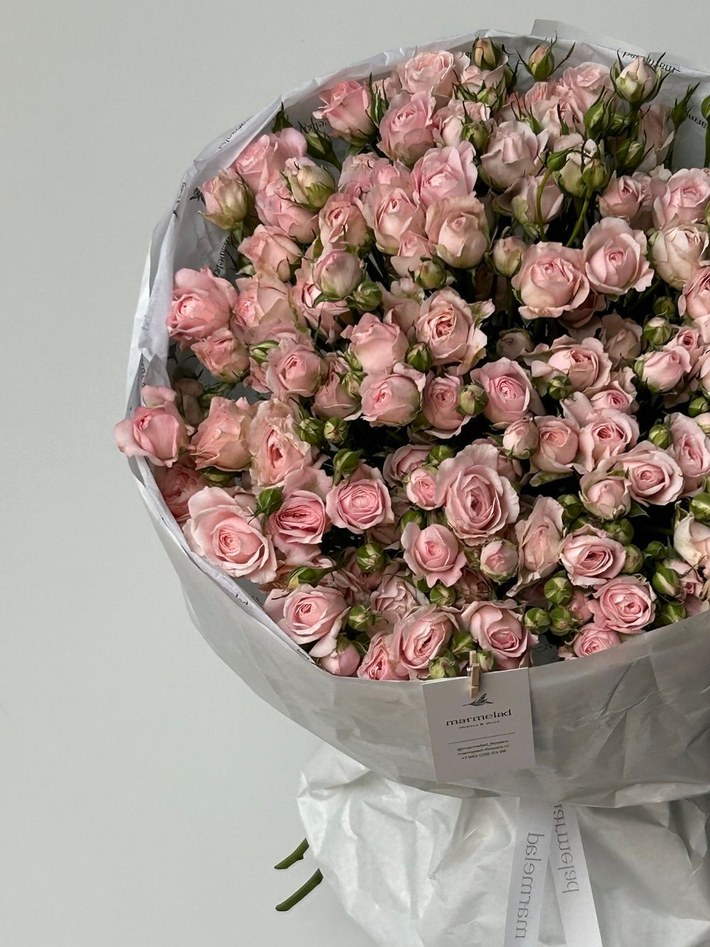 Букет моно из кустовых роз 25 шт в нежно-розовом оттенке