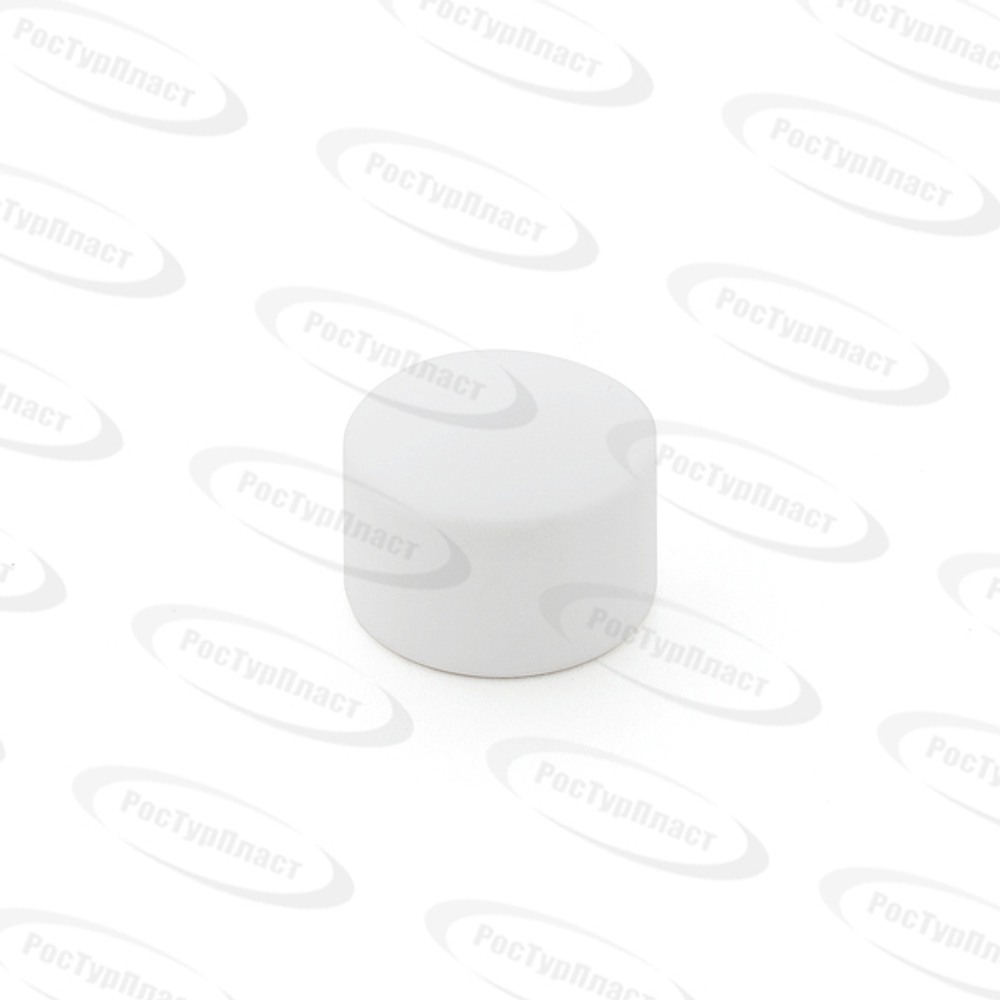 Заглушка PPR  25, PN25 белый, РТП (240/40)