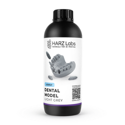Dental Model Light Grey
