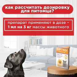 Суспензия от гельминтов Дирофен 60 для взрослых собак и кошек 10мл