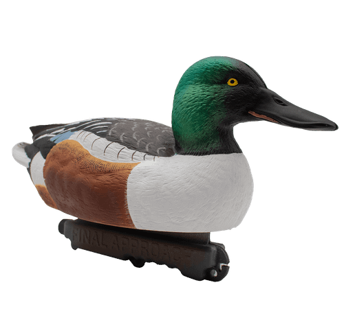 Широконос "FA-212530 LIVE NORTHERN SHOVELER SPOONBILL" FA 6 шт.