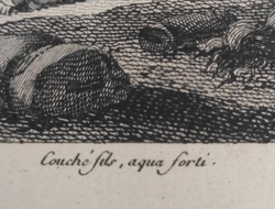 Битва в Каире (Битва при Пирамидах). Гравюра из альбома Военные кампании Франции. 1834