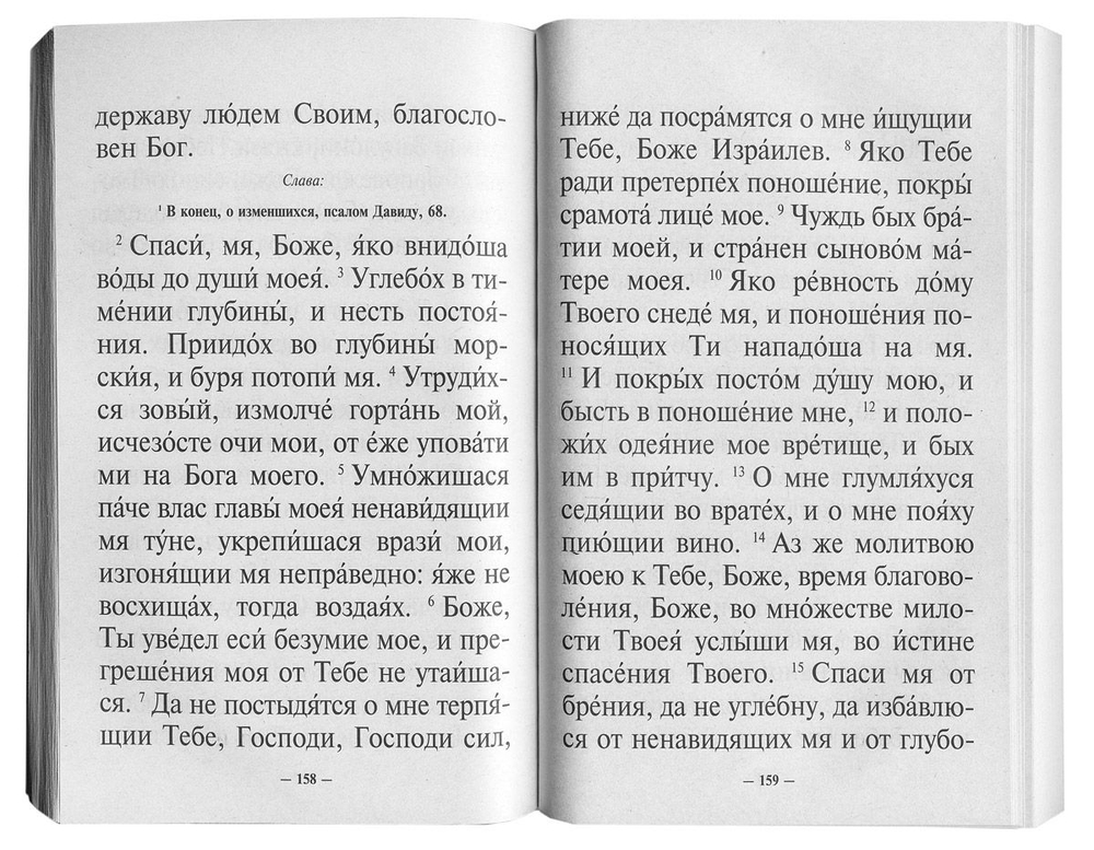 Псалтирь святого пророка и царя Давида крупным шрифтом. Мягкая обложка