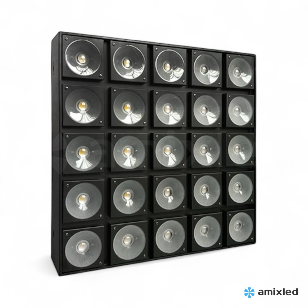 25 Matrix panel