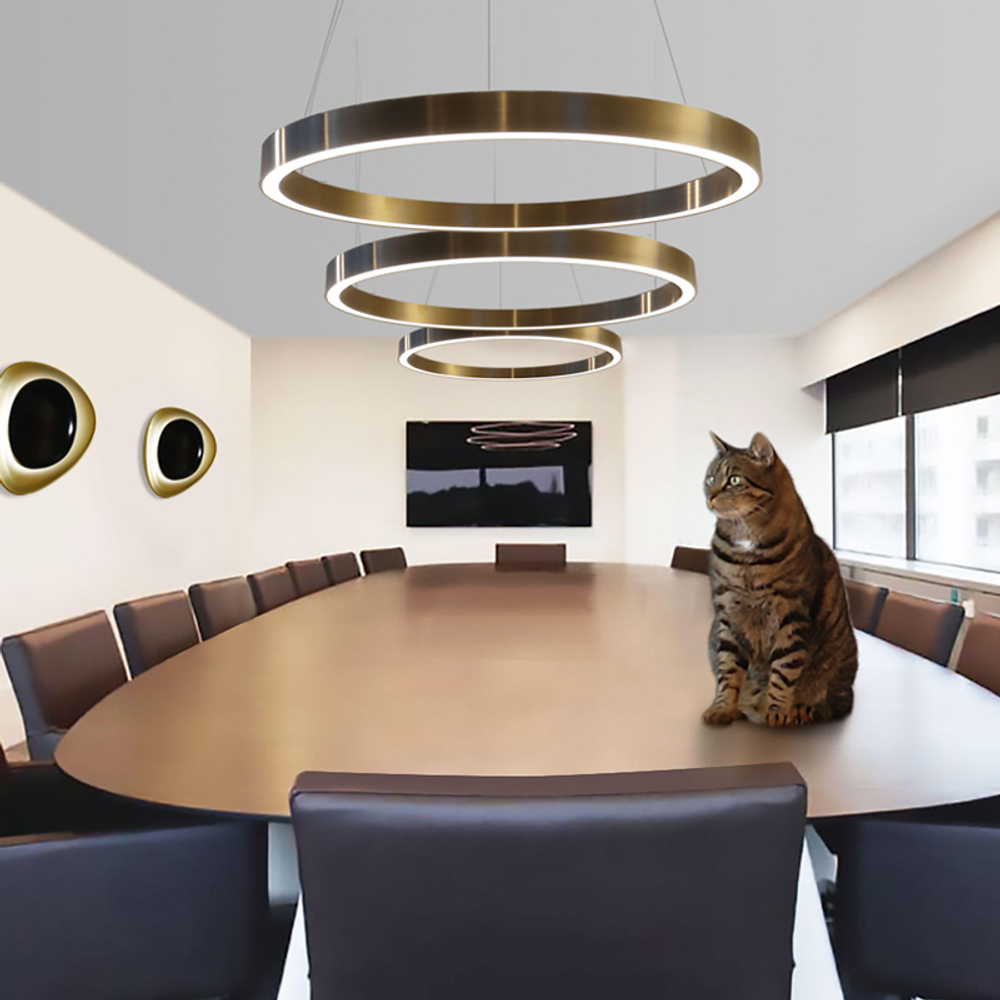 Pendant design lamp  Light Ring by HENGENG  D70